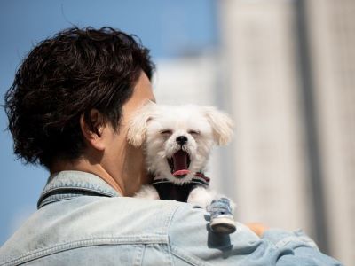 yawning due to mimicry yawning due to mimicry