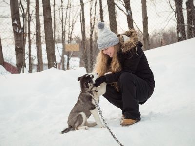 caring for dog in winters