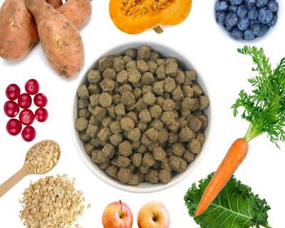 ingredients in kibble ingredients in kibble
