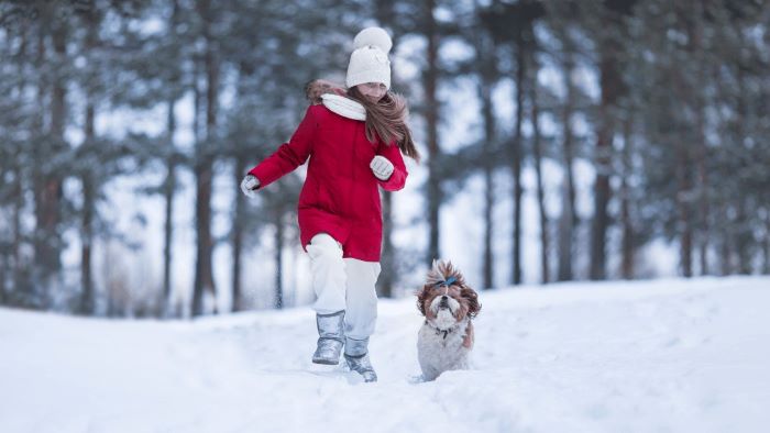 when is it too cold for your dog to walk?