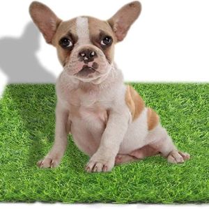 starroad-artificial-grass-for-dogs-uk