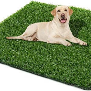 ssriver-artificial-grass-for-dogs-uk