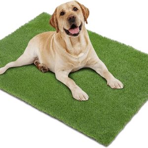 lleading-artificial-grass-for-dogs-uk