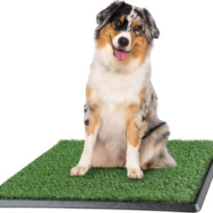 petmaker-artificial-grass-for-dogs-uk