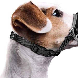 nasjac-dog-muzzles-uk