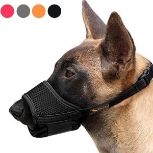 heel-nylon-dog-muzzles-uk