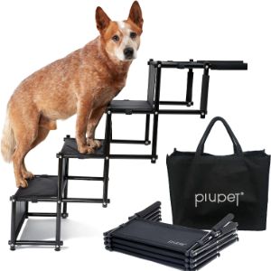 dog-ramps-piupet