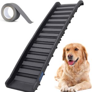 dog-ramps-liekumm