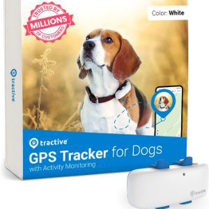 dog-walking-gadgets-gps-dog-tracker