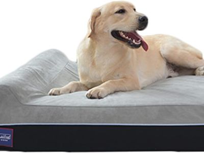 orthopaedic-dog-bed-laifug