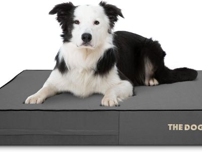 orthopaedic-dog-bed-dog-balls