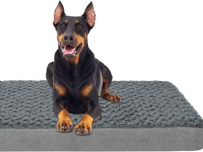 orthopaedic-dog-bed-petorry