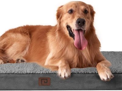 orthopaedic-dog-bed-eheyciga