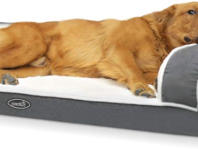 Best orthopedic dog bed uk cheap