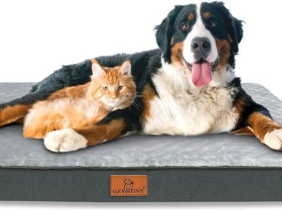 orthopaedic-dog-bed-gzvxuny
