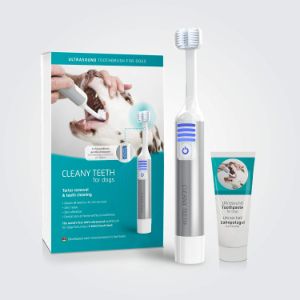best-electric-toothbrush-for-dogs-uk