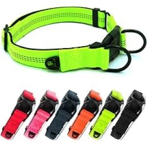 Beshine Adjustable Dog Collar Separate ID Ring