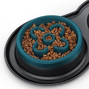 BurgeonNest Slow Feeder Dog Bowls