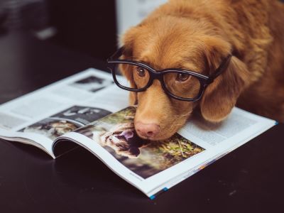 doing being playful and reading doing being playful and reading