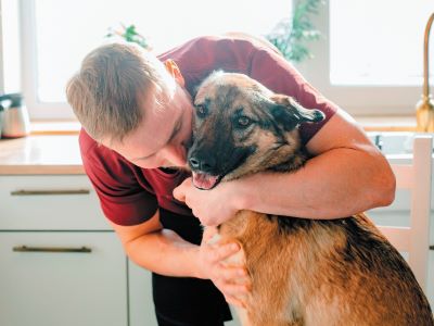 Do Dogs Have a Good Memory Do Dogs Have a Good Memory