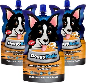 DoggyRade – Delicious Isotonic Drink for Dogs