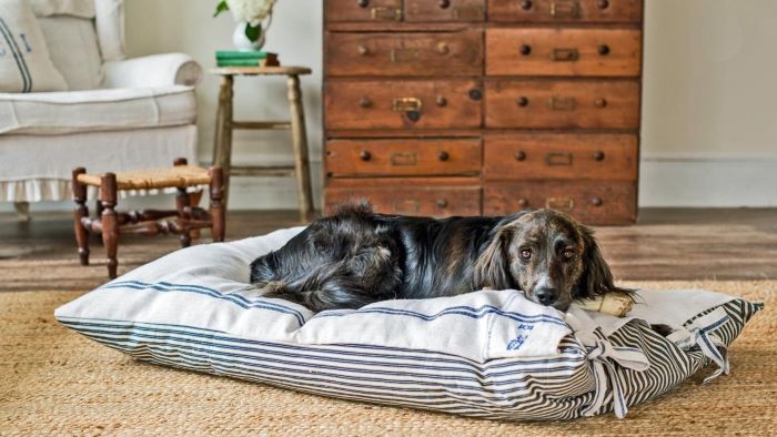 How to Make a Dog Bed