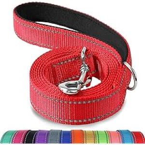Joytale Padded Handle Dog Lead