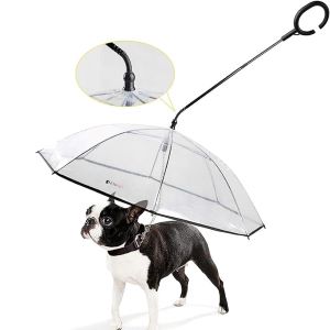 Namsan Dog Umbrella with Lead