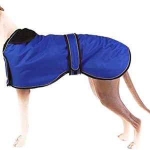 Pethiy Waterproof Dog Jacket