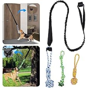 Spring Pole Dog Rope Interactive Exercise Toys