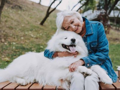 loyal dog enjoying with family loyal dog enjoying with family