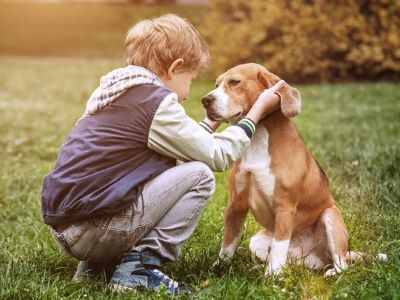 dog enjoying pets" dog enjoying pets