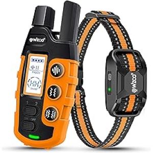 Wizco Dog Training Collar with Remote