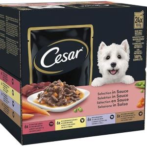 Cesar Selection in Sauce Adult Premium Wet Dog Food