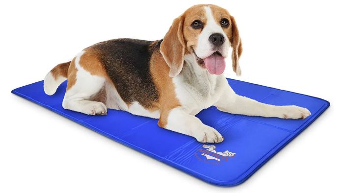 How Do Dog Cooling Mats Work? How Do Dog Cooling Mats Work?