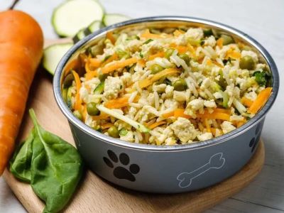 Risks of Cauliflower for Dogs Risks of Cauliflower for Dogs