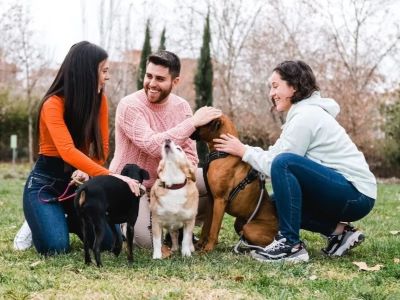 Dogs Are Social Connection Booster