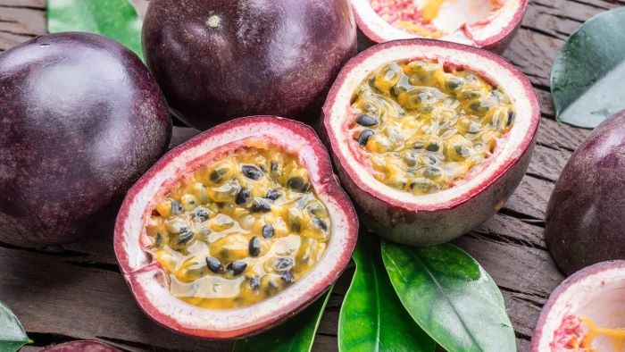 Cool Can Dogs Have Passion Fruit Images