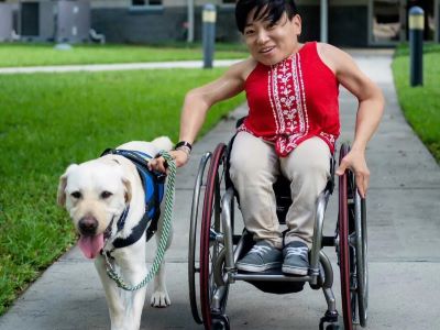 Service dogs Service dogs