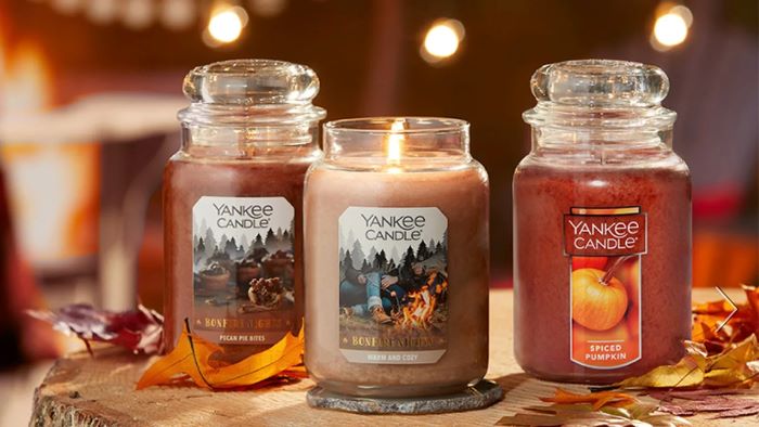 Are Yankee Candles Safe for Dogs?