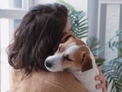 dog feeling safe with pet parent