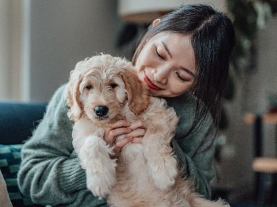 female dog with owner playing