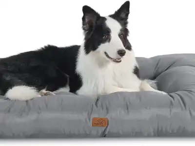 best-dog-bed-uk-bedsure