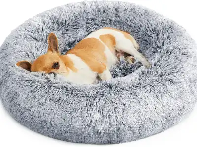 doughnut-dog-bed-feandrea