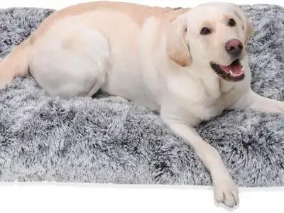 medium-dog-bed-jaspuriea