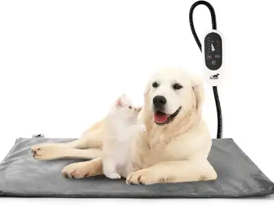 electric-dog-bed-toozey