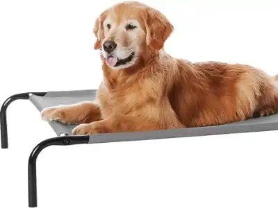 elevated-dog-bed-amazon-basics