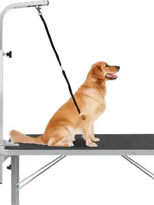 ball-shop-dog-grooming-tables-uk