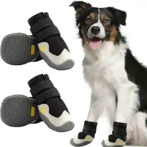aqh-dog-walking-boots