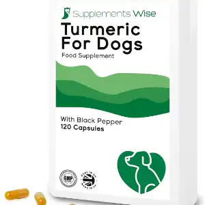 Turmeric For Dogs - Food Supplement by Supplements Wise